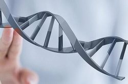 长沙星沙先领医药科技有限公司官网上线