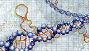 长沙星沙艾碧维生物科技有限公司官网正式上线