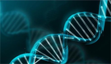 长沙星沙艾碧维生物科技有限公司